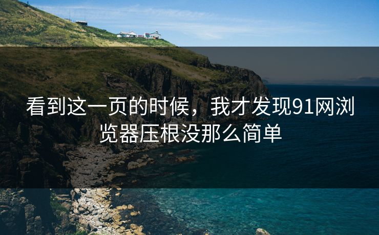 看到这一页的时候，我才发现91网浏览器压根没那么简单