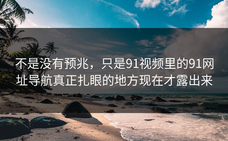 不是没有预兆，只是91视频里的91网址导航真正扎眼的地方现在才露出来