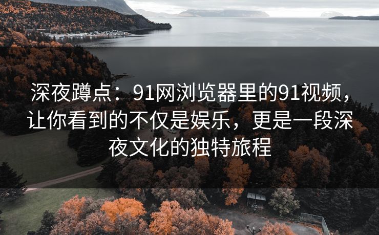 深夜蹲点：91网浏览器里的91视频，让你看到的不仅是娱乐，更是一段深夜文化的独特旅程
