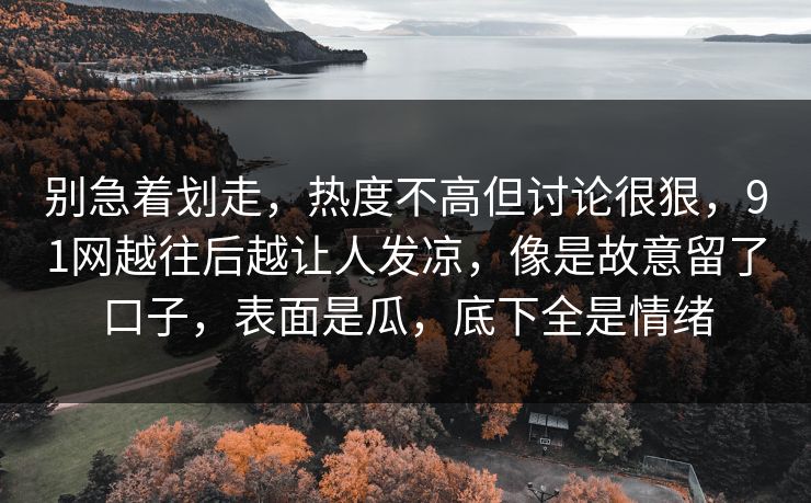 别急着划走，热度不高但讨论很狠，91网越往后越让人发凉，像是故意留了口子，表面是瓜，底下全是情绪