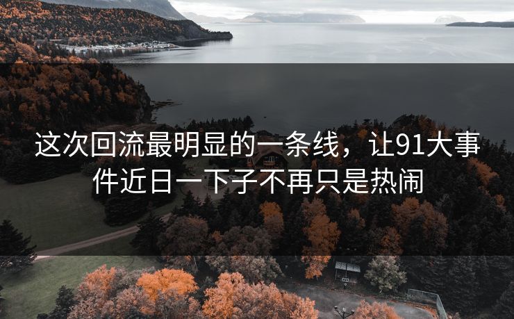 这次回流最明显的一条线，让91大事件近日一下子不再只是热闹