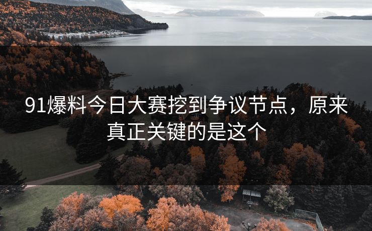 91爆料今日大赛挖到争议节点，原来真正关键的是这个