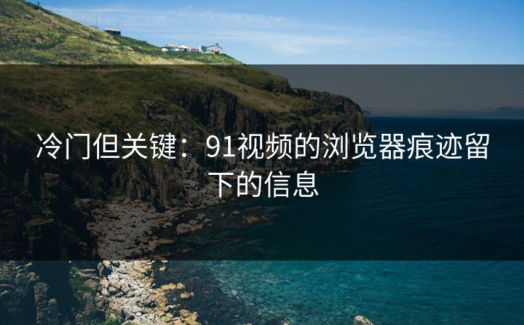 冷门但关键：91视频的浏览器痕迹留下的信息