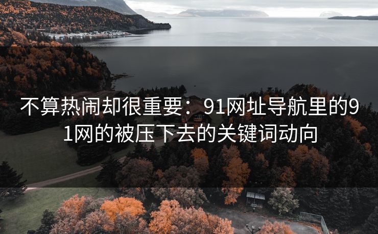 不算热闹却很重要：91网址导航里的91网的被压下去的关键词动向