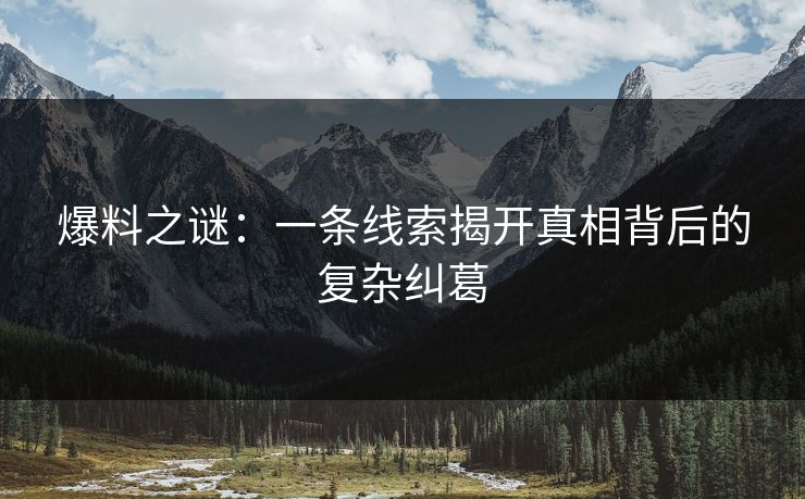 爆料之谜：一条线索揭开真相背后的复杂纠葛