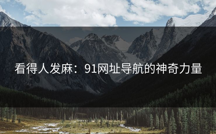 看得人发麻：91网址导航的神奇力量