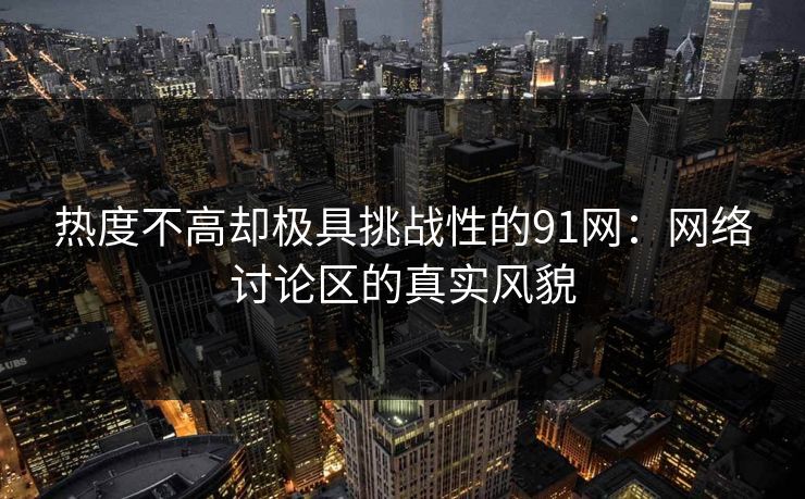 热度不高却极具挑战性的91网：网络讨论区的真实风貌